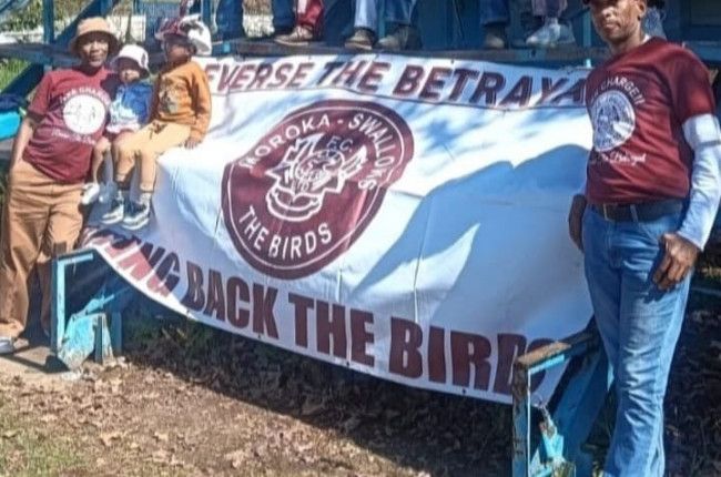 Supporters Forum: Bring Back The Birds campaign explained