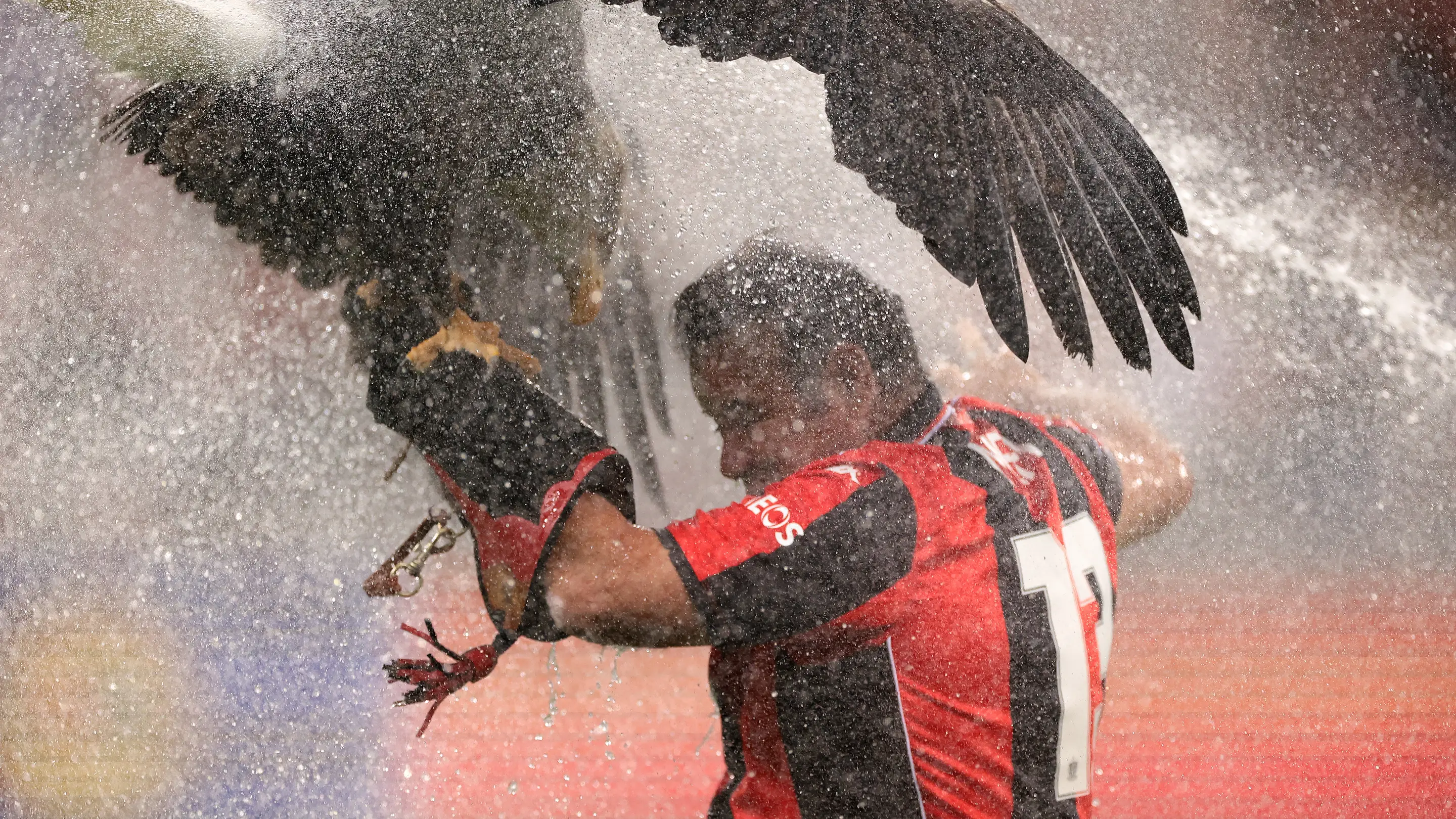 Famous OGC Nice eagle mascot and trainer blasted by sprinkler