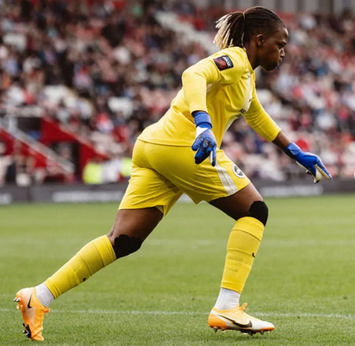 'We are going to Wembley' - Nnadozie celebrates Brighton's historic FA Cup final spot