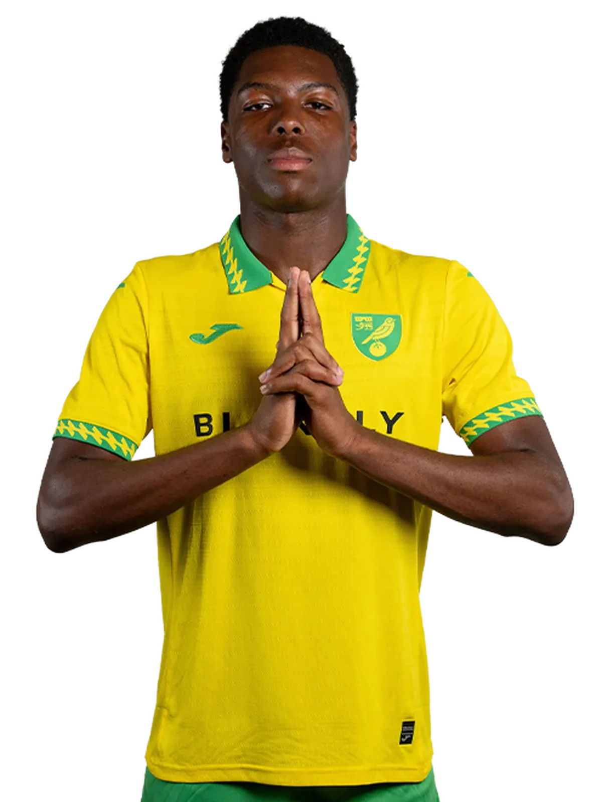 Confirmed: Two Nigerian defenders will not wear Norwich City colours next season