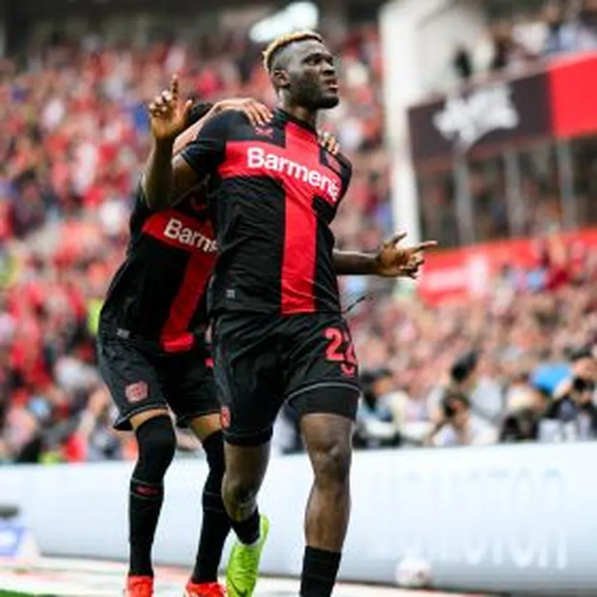 'His knee looks quite good' - Bayer Leverkusen chief provides fitness update on Boniface